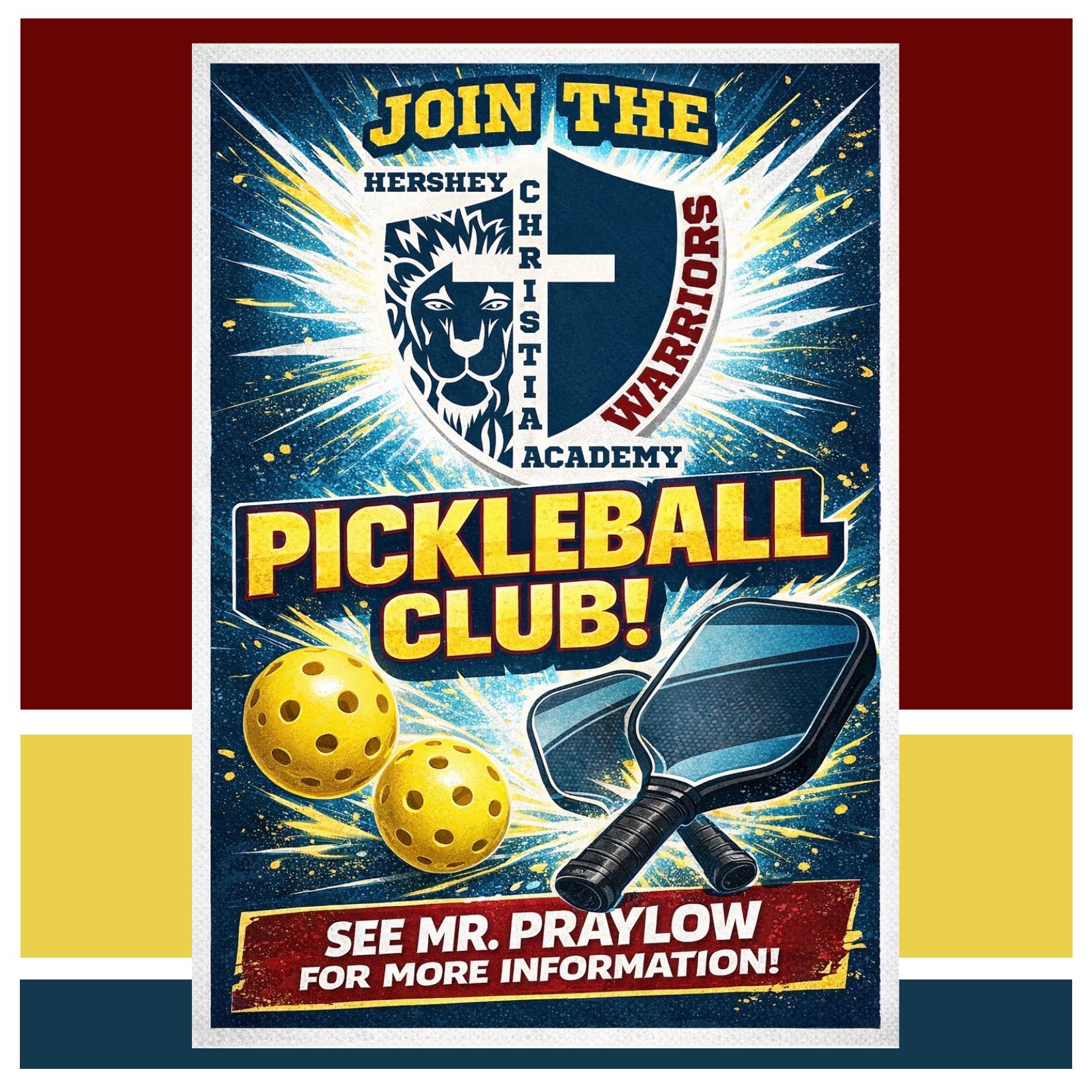 Pickle BALL
